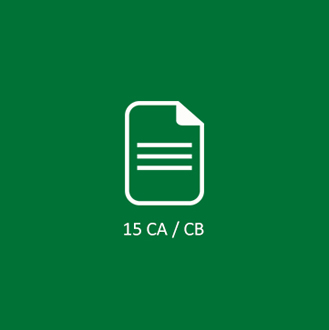 Form 15CA and 15CB Filing