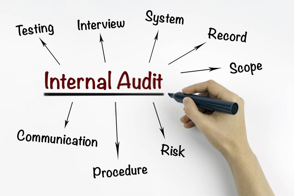 Internal Audit Activity