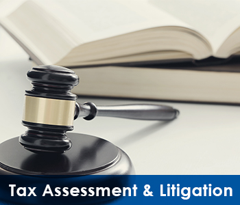TAX ASSESSMENT AND LITIGATION- E assessment Service