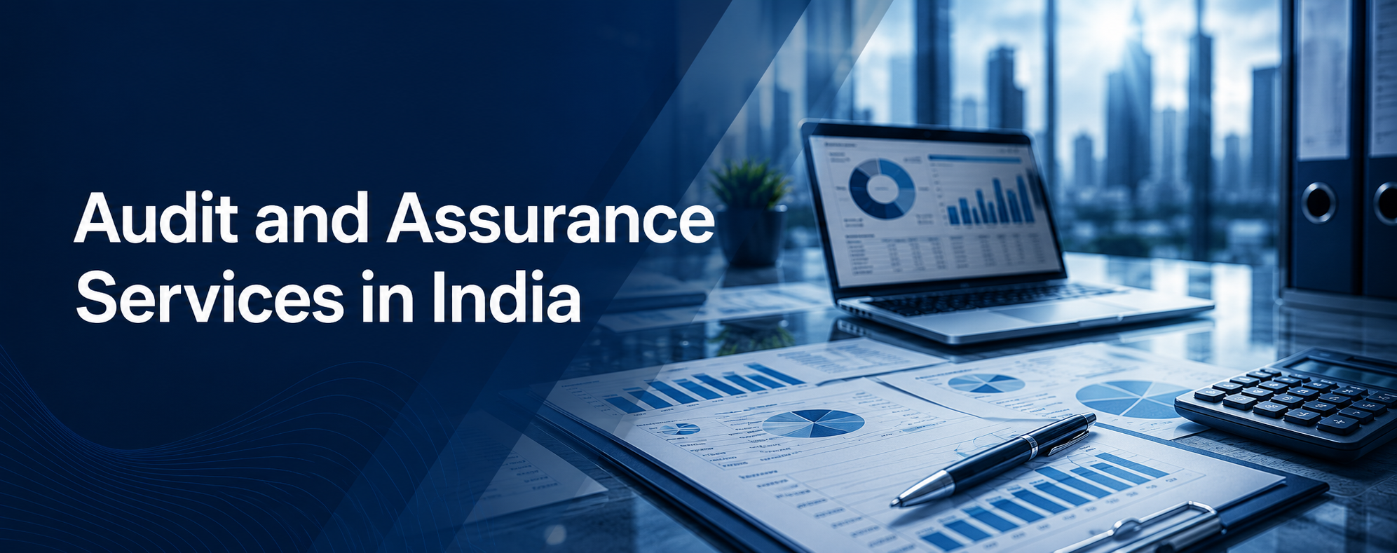 Audit and Assurance Services in India