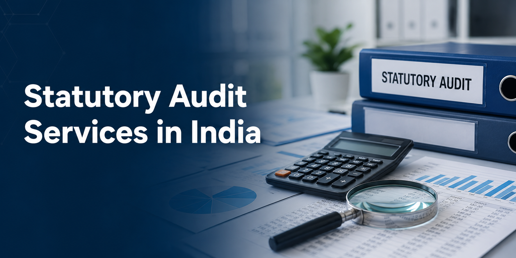 Statutory Audit Services in India